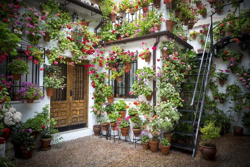 Guided tour in Spanish to the courtyards of Córdoba - Why This Tour Offers Great Value