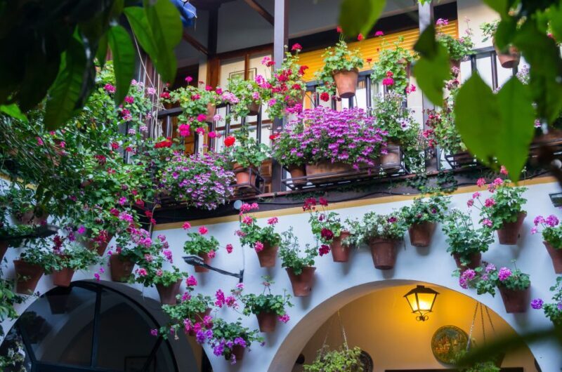 Guided tour in Spanish to the courtyards of Córdoba - The Sum Up