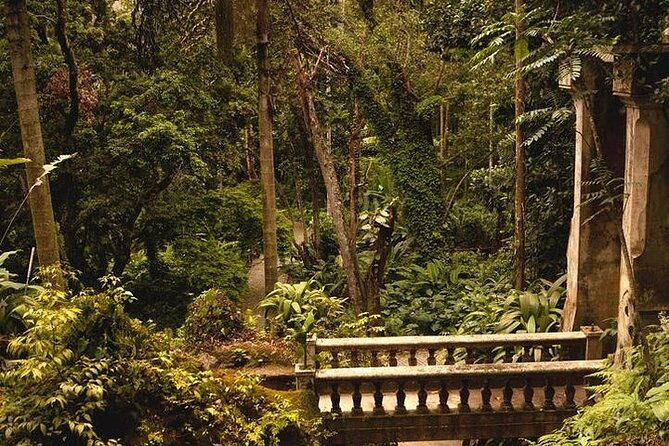 guided-tour-in-tijuca-forest-with-transfer