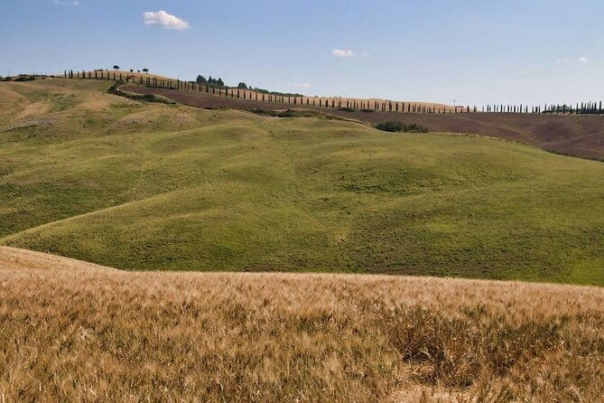 guided-tour-in-wonderful-tuscany