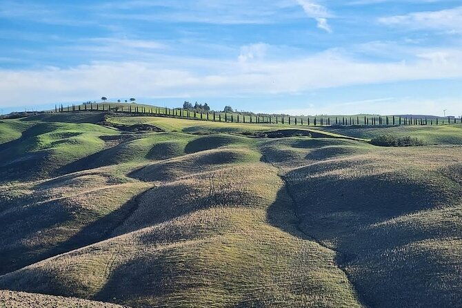 guided-tour-in-wonderful-tuscany