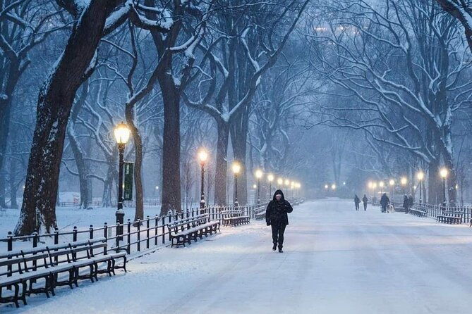 guided-tour-inside-central-park-with-pedicab