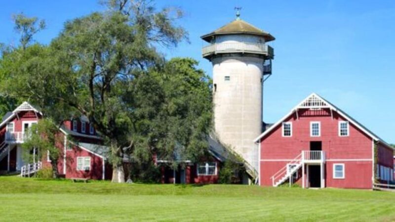 Guided Tour of a Local New England Cranberry Farm - What Makes This Tour Valuable?