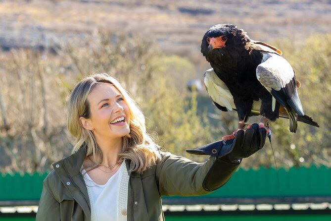 guided-tour-of-aillwee-cave-and-visit-to-the-birds-of-prey-centre
