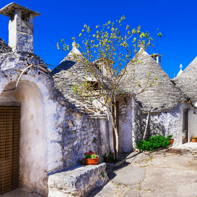 guided-tour-of-alberobello-trulli-with-transfer-included