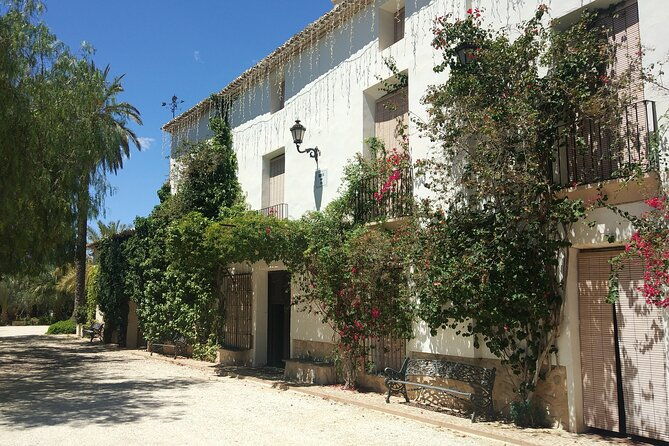 guided-tour-of-an-old-winery-with-tasting-from-alicante-and-elche