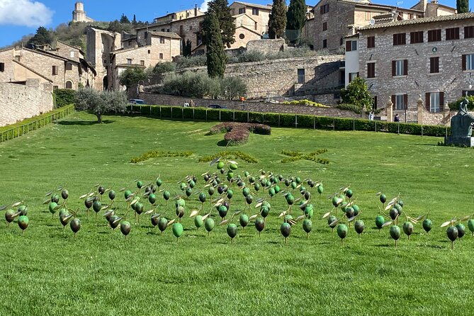 guided-tour-of-assisi-francis-clare-and-carlo-acutis-2