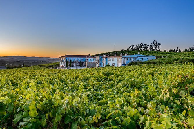 Guided tour of Bodegas Granbazán - Why This Tour Offers Excellent Value