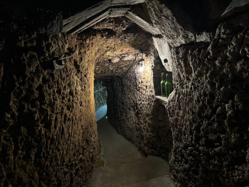 guided-tour-of-bodegas-j-f-iradier-rioja-alavesa