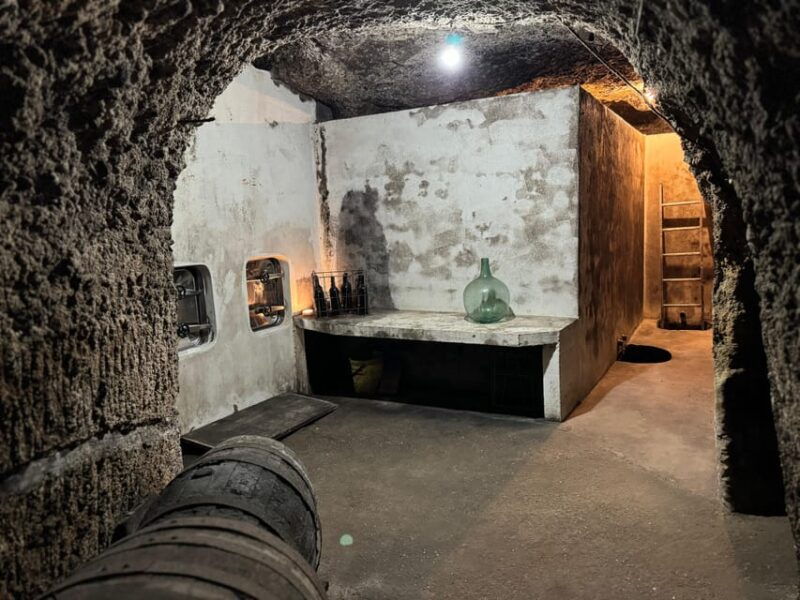 guided-tour-of-bodegas-j-f-iradier-rioja-alavesa