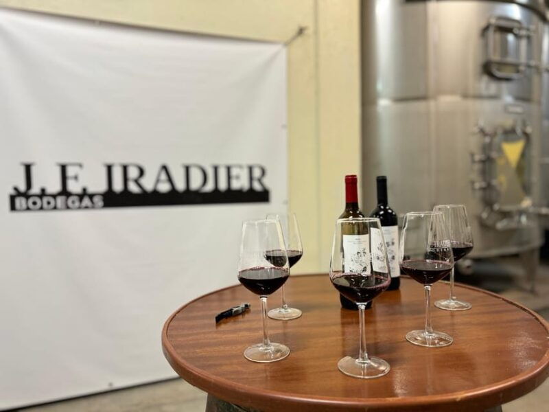 guided-tour-of-bodegas-j-f-iradier-rioja-alavesa