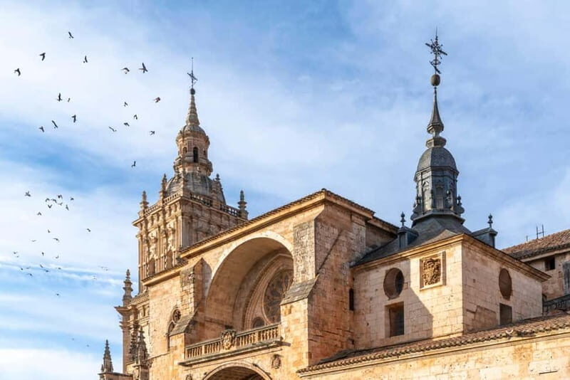 Guided tour of Burgo de Osma (by ECO-BUS) - Exploring Burgo de Osma on an Eco-Friendly Mini-Bus Tour