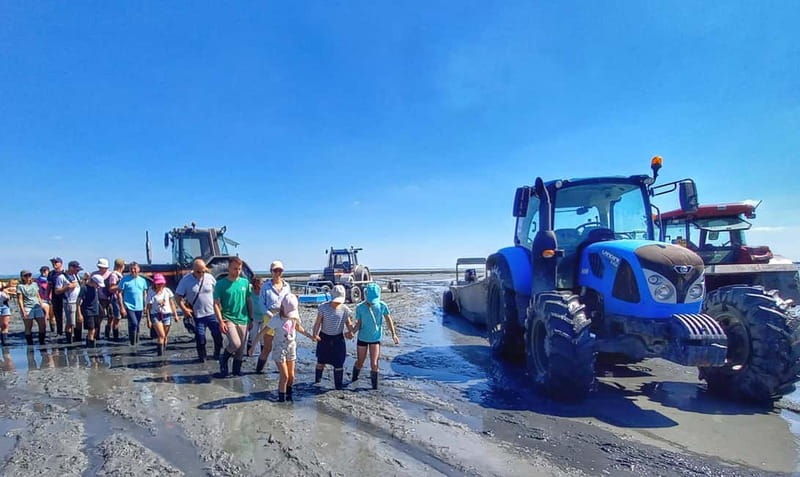 Guided tour of Cancale's oyster beds - The Value of This Experience