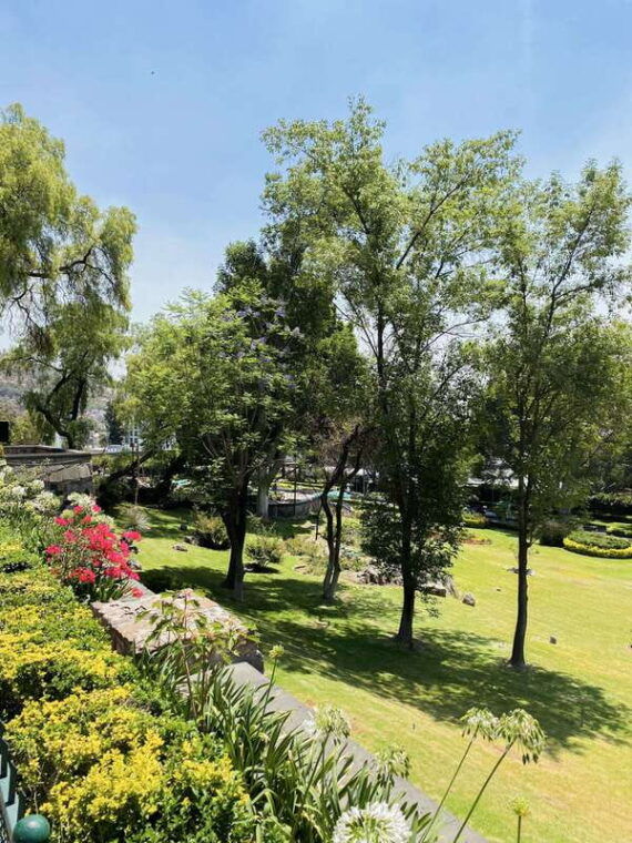 guided-tour-of-cdmx-teotihuacan-guadalupe-and-the-mexican-city-of-tlatelolco