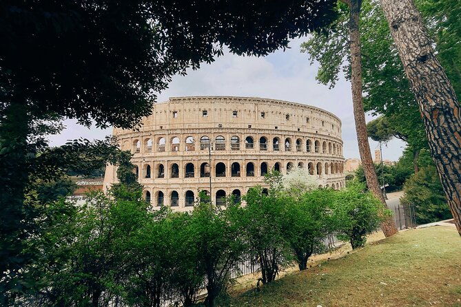 guided-tour-of-colosseum-roman-forum-and-palatine-hill