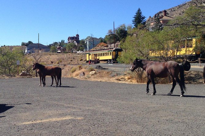 guided-tour-of-historic-virginia-city-and-carson-city-from-south-lake-tahoe