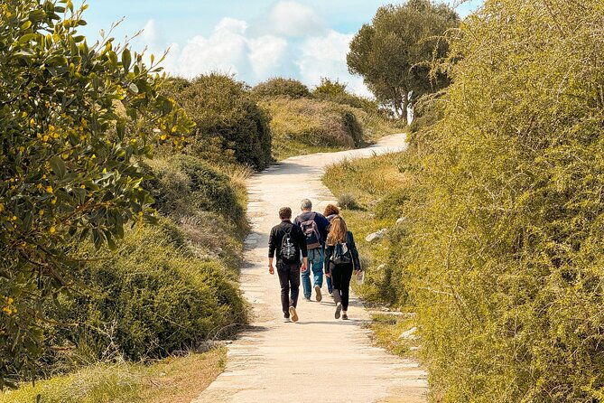 guided-tour-of-limassol-with-kourion-and-kolossi-castle-2