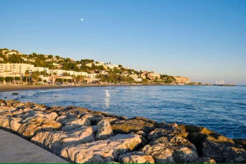 Guided tour of Malaga fishing scene with cooking workshop - A Deep Dive into the Malaga Fishing Scene Tour