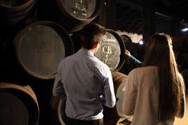 guided-tour-of-oil-mill-and-winery