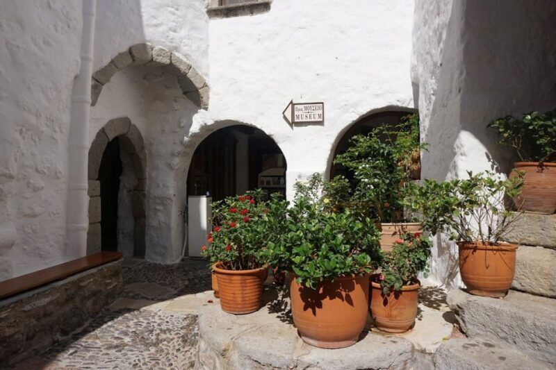 Guided Tour of Old Patmos, Windmills & Beaches - The Sum Up