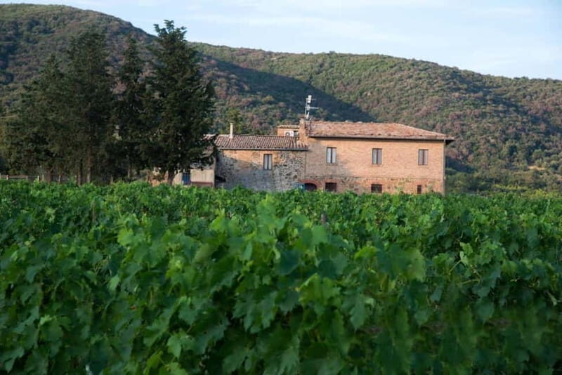 Guided tour of our Brunello vineyards with tasting. - FAQ
