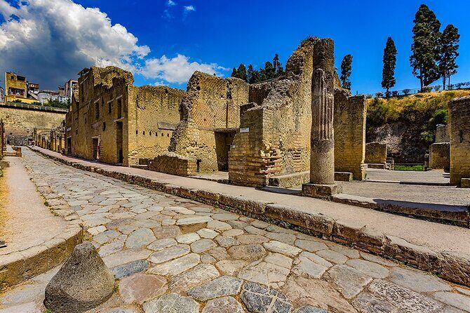 Guided Tour of Pompeii and Herculaneum with Lunch and Ticket - Who Will Enjoy This Experience?