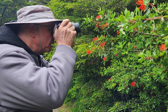 guided-tour-of-punta-arenas-and-fort-bulnes