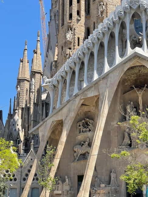 Guided Tour of Sagrada Familia - Gaudi's dream - An In-Depth Look at the Guided Tour Experience