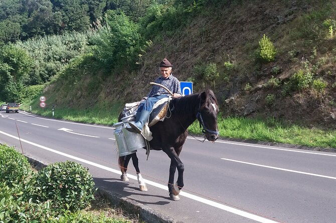 guided-tour-of-sete-cidades-lagoa-do-fogo-lunch-included-2