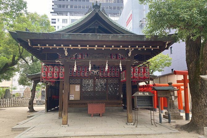 Guided Tour of Some Attractions in Osaka by Private Car - An In-Depth Look at the Tour