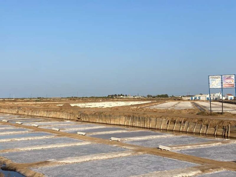 Guided tour of Tavira with tasting - FAQs