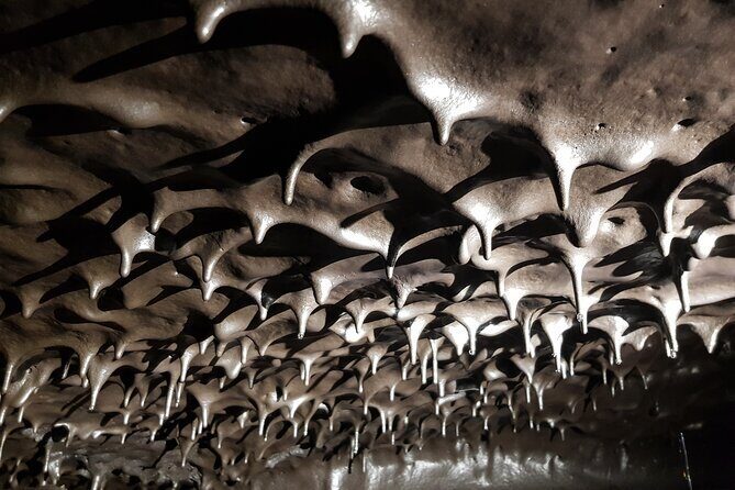 Guided tour of the 2004 lava tunnels - What to Expect from the Lava Tunnels Tour