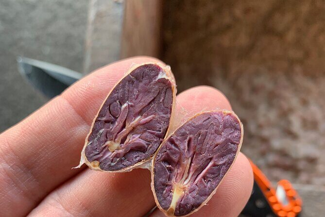 Guided tour of the Artisan Chocolate Factory in Tuscany - A Closer Look at the Chocolate Tour Experience