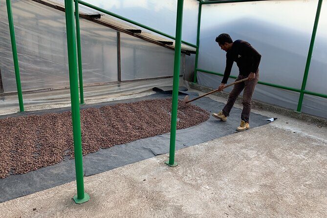 Guided tour of the Artisan Chocolate Factory in Tuscany - FAQs