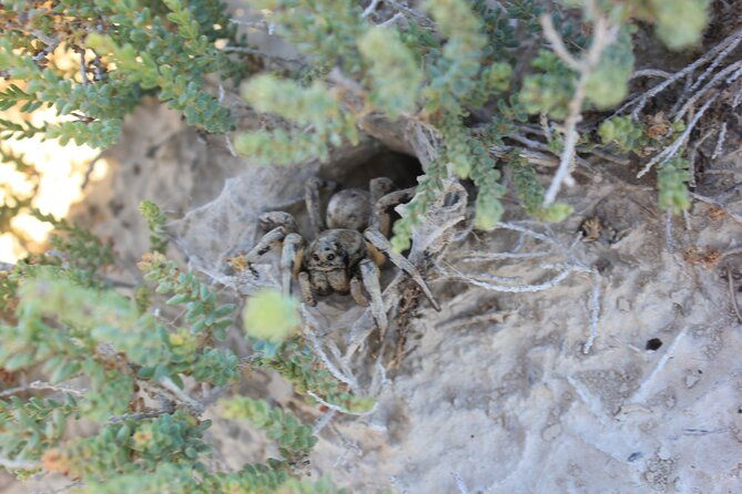 guided-tour-of-the-bardenas-reales-of-navarra-by-4x4