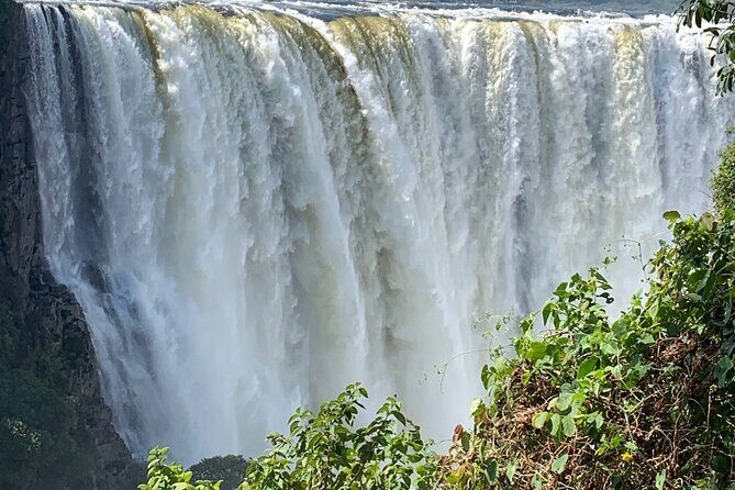 Guided Tour of the Falls Rainforest - Why This Tour Offers Great Value