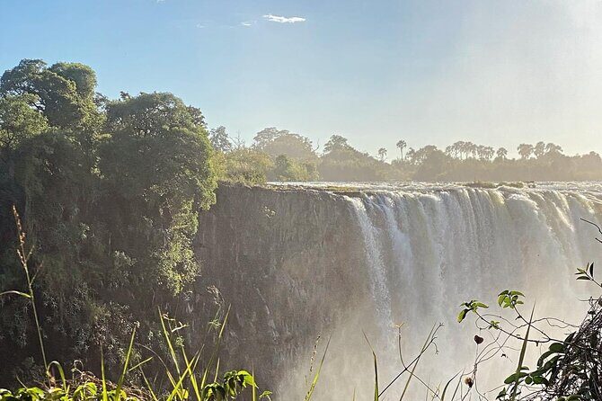 Guided Tour of the Falls Rainforest - Who Should Book This Tour?