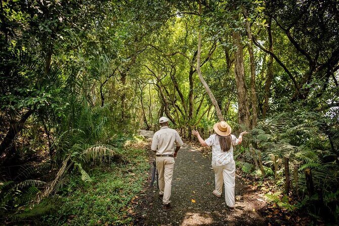 Guided Tour of the Falls Rainforest - The Sum Up