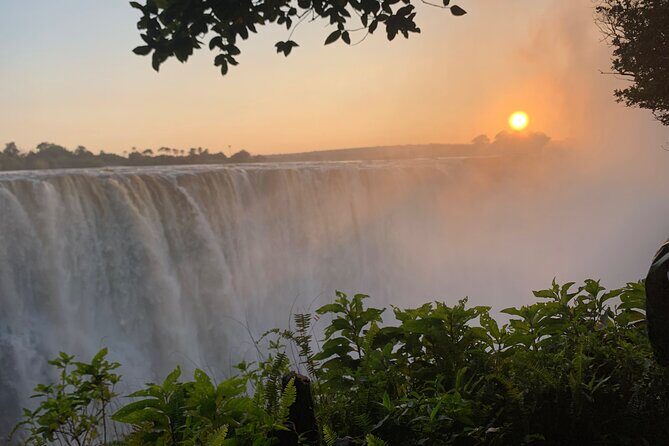 Guided Tour of the Falls Rainforest - FAQ