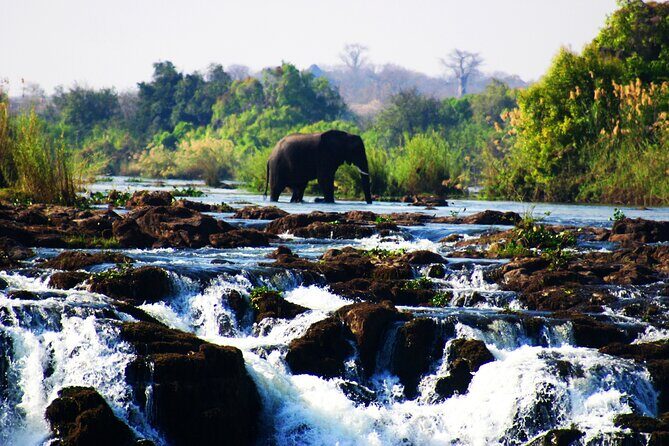 Guided Tour of the Falls (ZIM side) Wildlife Safari, by Savannah - Key Points