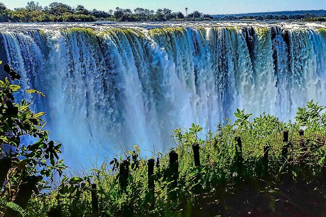 Guided Tour of the Falls (ZIM side) Wildlife Safari, by Savannah - What Makes This Tour Special?