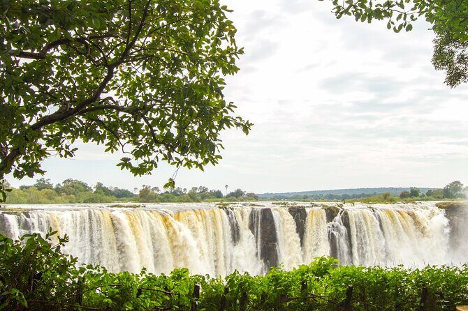 Guided Tour of the Falls (Zimbabwe side) - The Practical Details