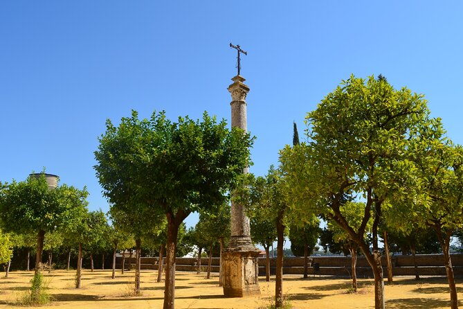 guided-tour-of-the-monastery-of-san-isidoro-del-campo-2