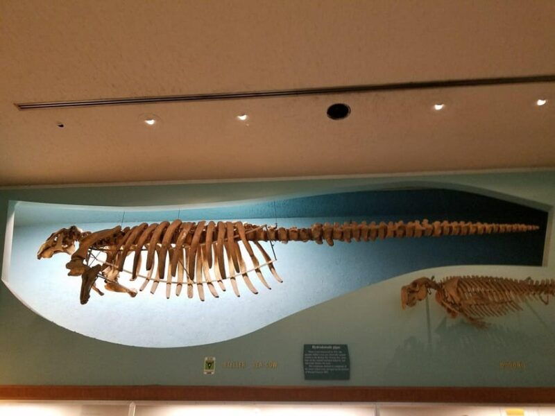 guided-tour-of-the-natural-history-museum