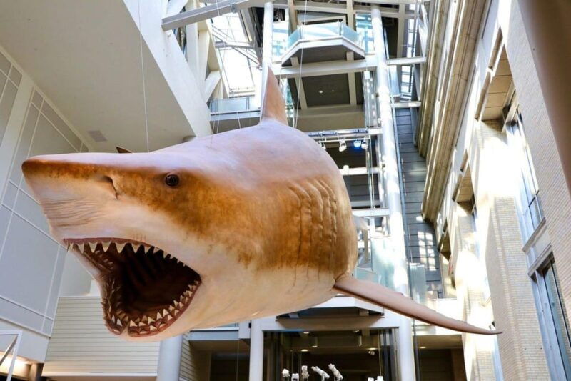 guided-tour-of-the-natural-history-museum