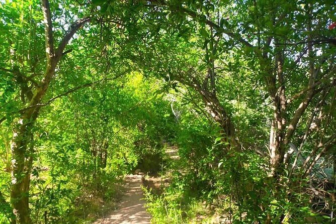 Guided tour of the Palmerie de Skoura by electric mountain bike - Practical Tips for Booking and Enjoying the Tour