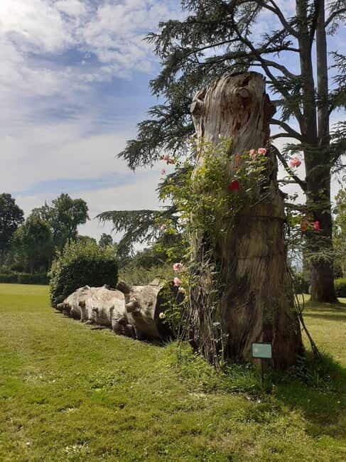Guided tour of the park of Villa Reale di Marlia - Who Will Love This Tour?