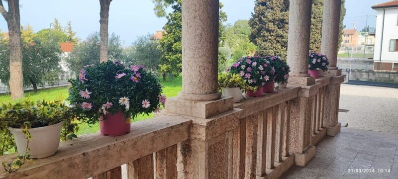 guided-tour-of-the-winery-with-wine-tasting