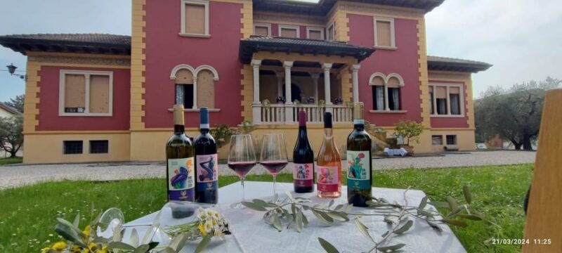 guided-tour-of-the-winery-with-wine-tasting