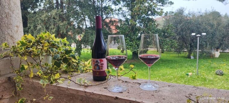 guided-tour-of-the-winery-with-wine-tasting